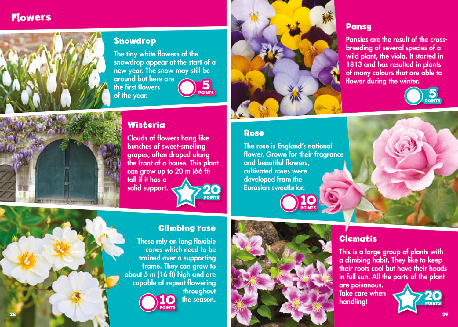 Collins Michelin i-SPY Guides - i-SPY In the Garden: Spy it! Score it!