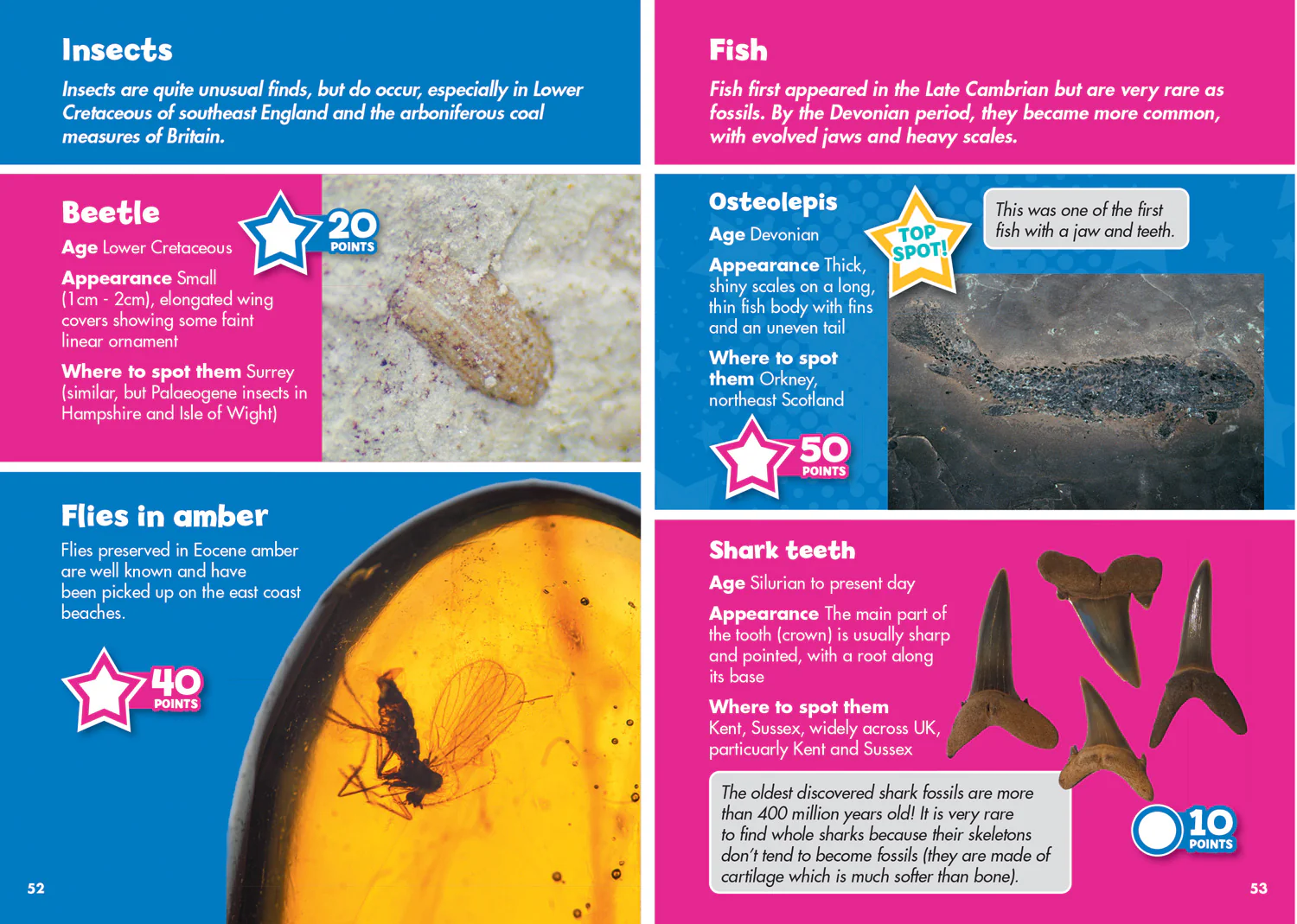 2270-collins-michelin-i-spy-guides-i-spy-fossils-and-rocks-spy-it-score-it--4.webp Collins Michelin i-SPY Guides - i-SPY Fossils and Rocks: Spy it! Score it!