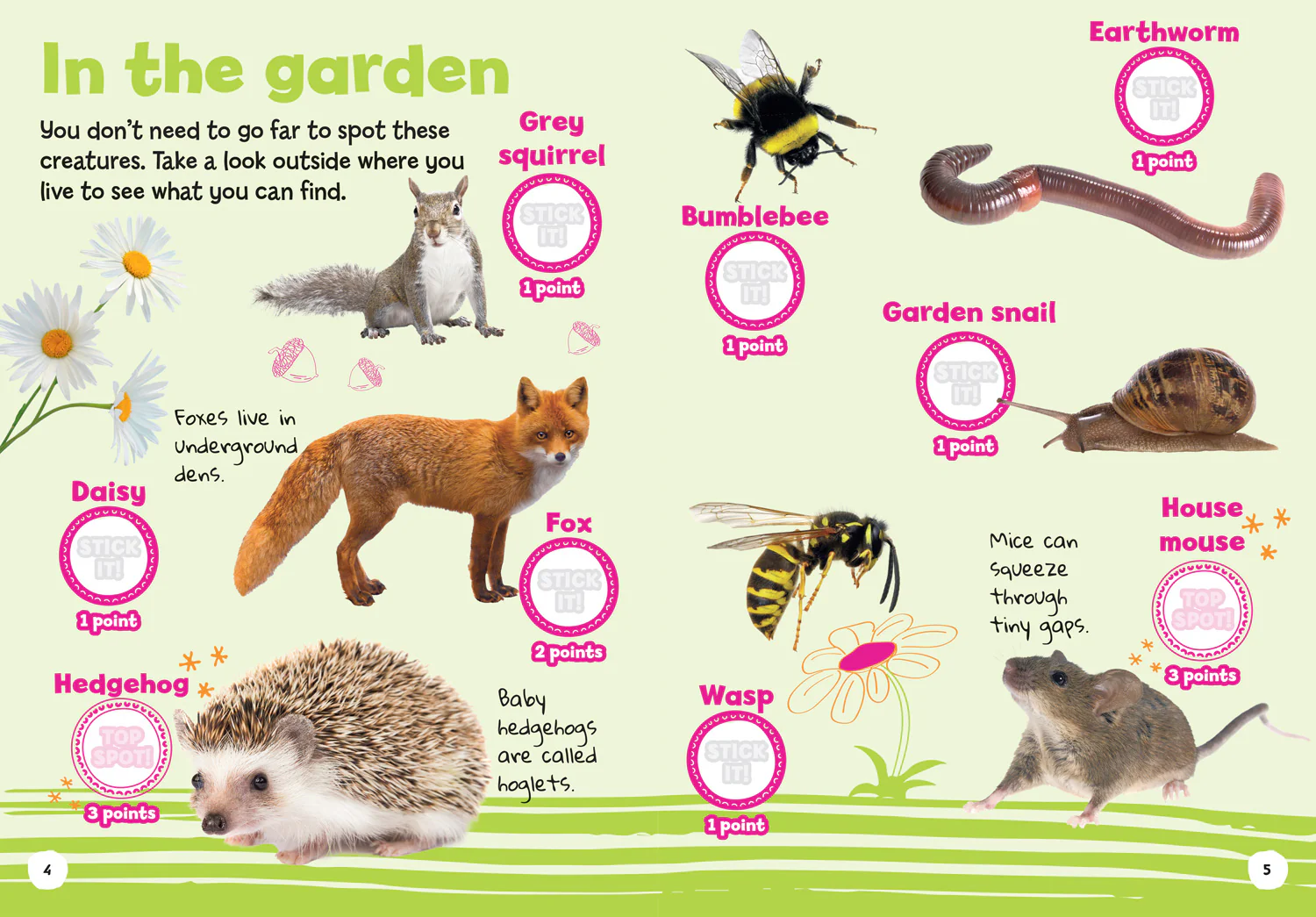 Collins Michelin i-SPY Guides - i-SPY My First Wildlife: Spy it! Stick it!