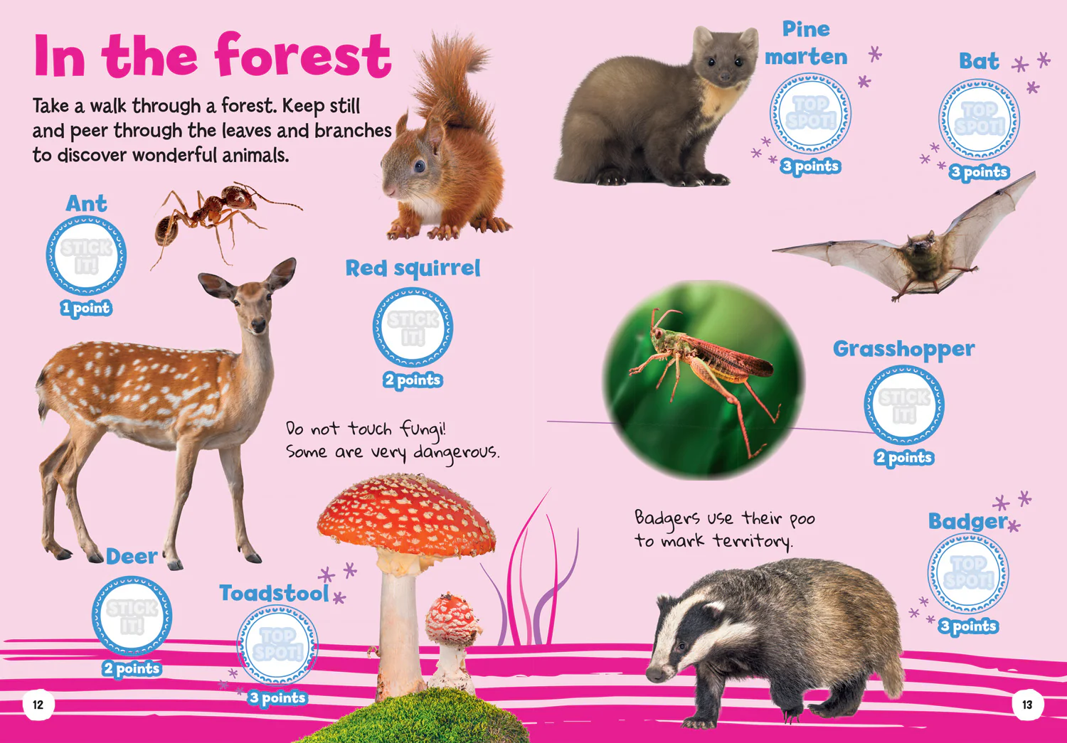 Collins Michelin i-SPY Guides - i-SPY My First Wildlife: Spy it! Stick it!