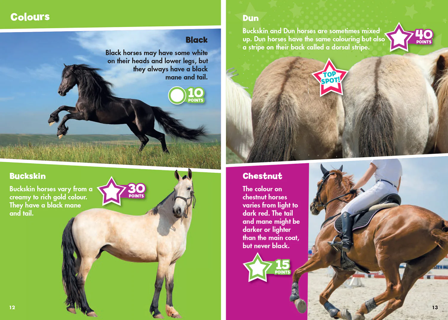 Collins Michelin i-SPY Guides - i-SPY Horses and Ponies: Spy it! Score it!