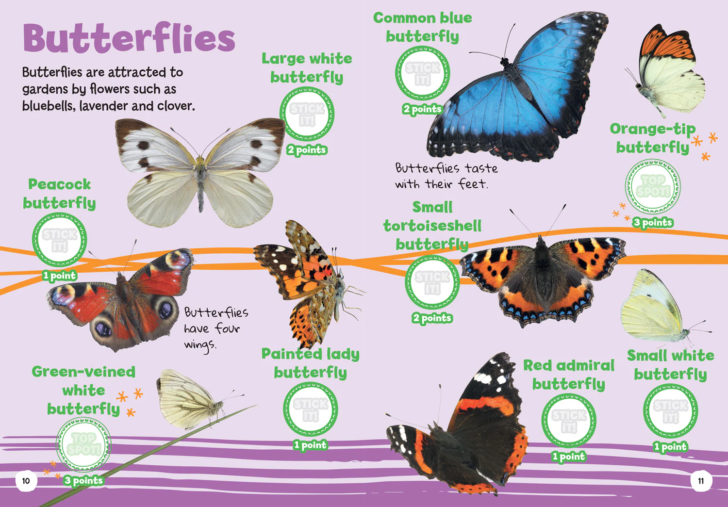 Collins Michelin i-SPY Guides - i-SPY My First Minibeasts: Spy it! Stick it!