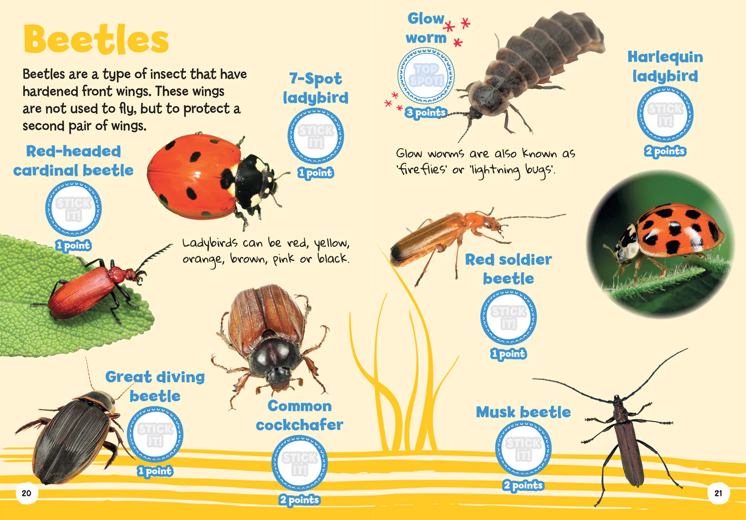 2277-collins-michelin-i-spy-guides-i-spy-my-first-minibeasts-spy-it-stick-it--3.webp Collins Michelin i-SPY Guides - i-SPY My First Minibeasts: Spy it! Stick it!