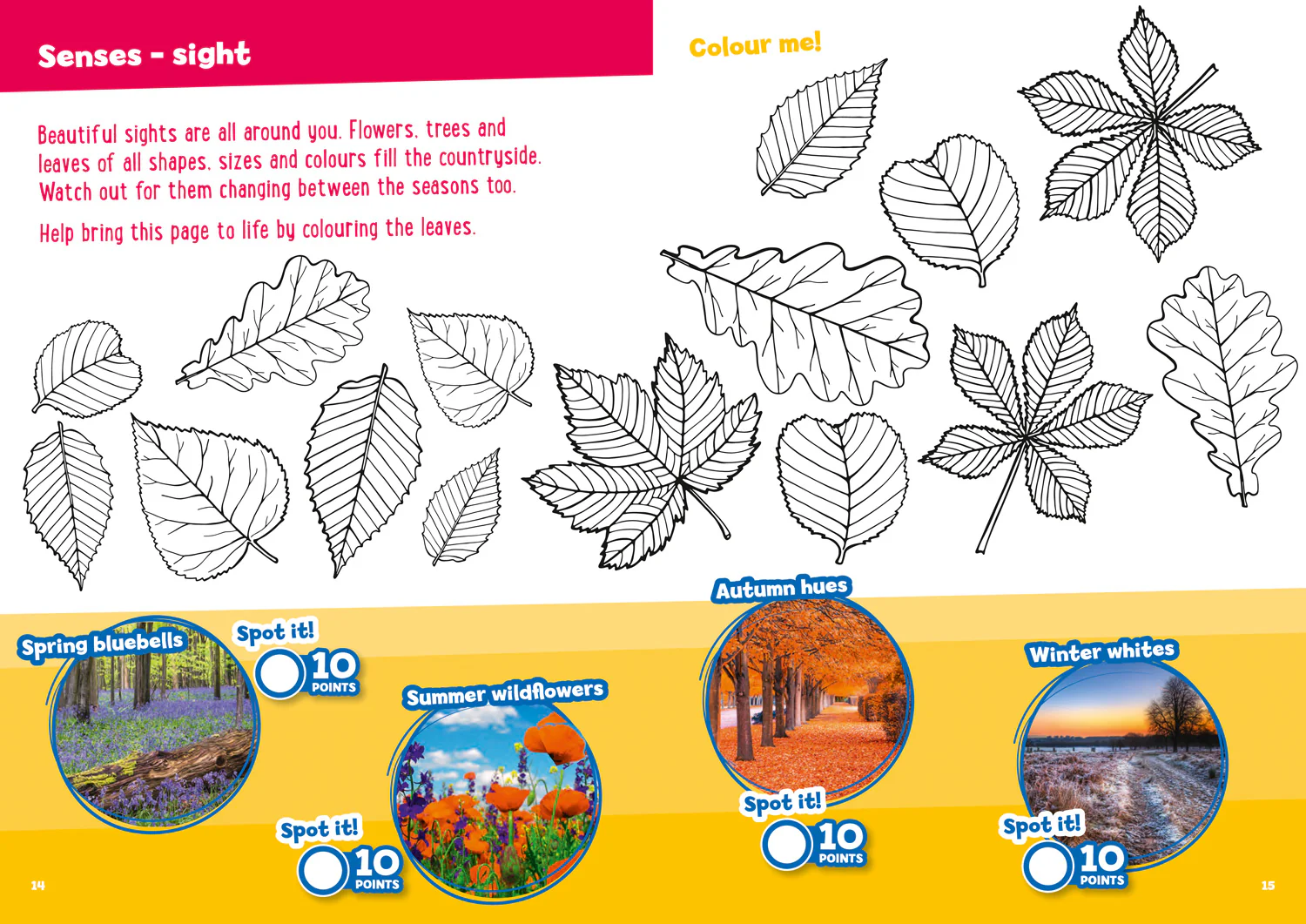 Collins Michelin i-SPY Guides - i-SPY In the Countryside Activity Book