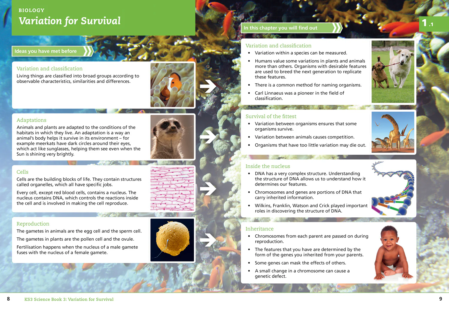 2303-key-stage-3-science-student-book-3-second-edition--3.webp Key Stage 3 Science - Student Book 3: (Second edition)