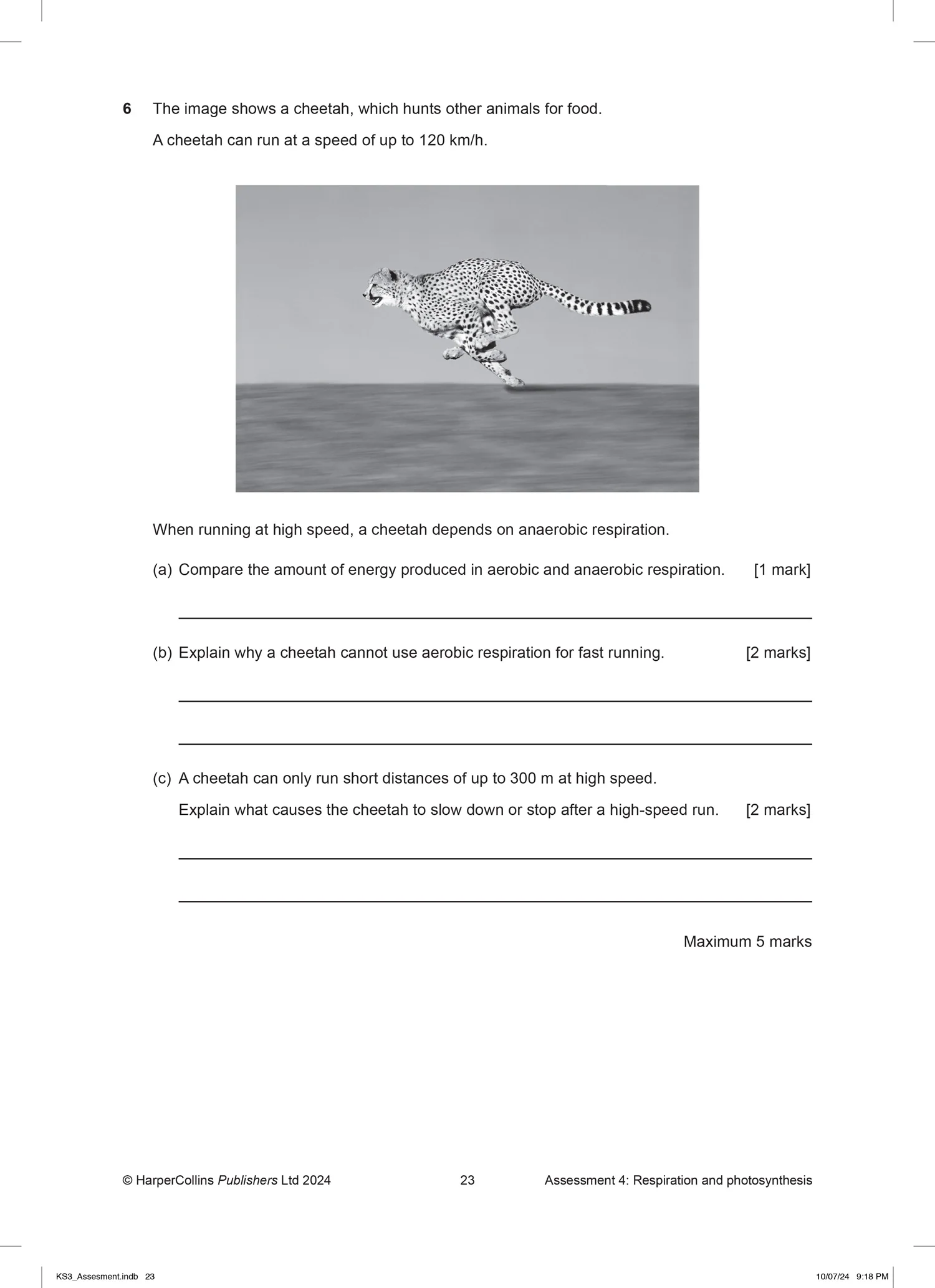 2391-ks3-science-now-ks3-science-now-assessment-pack-5.webp KS3 Science Now - KS3 Science Now Assessment Pack