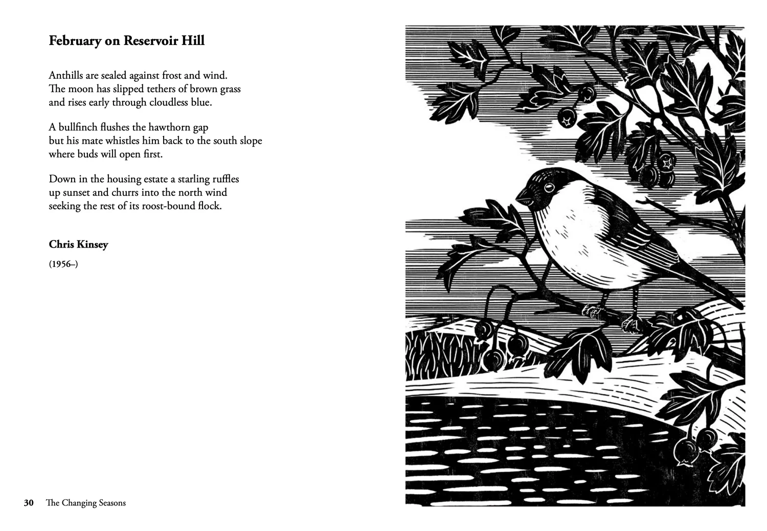 National Trust - Nature Poems: Treasured classics and new favourites