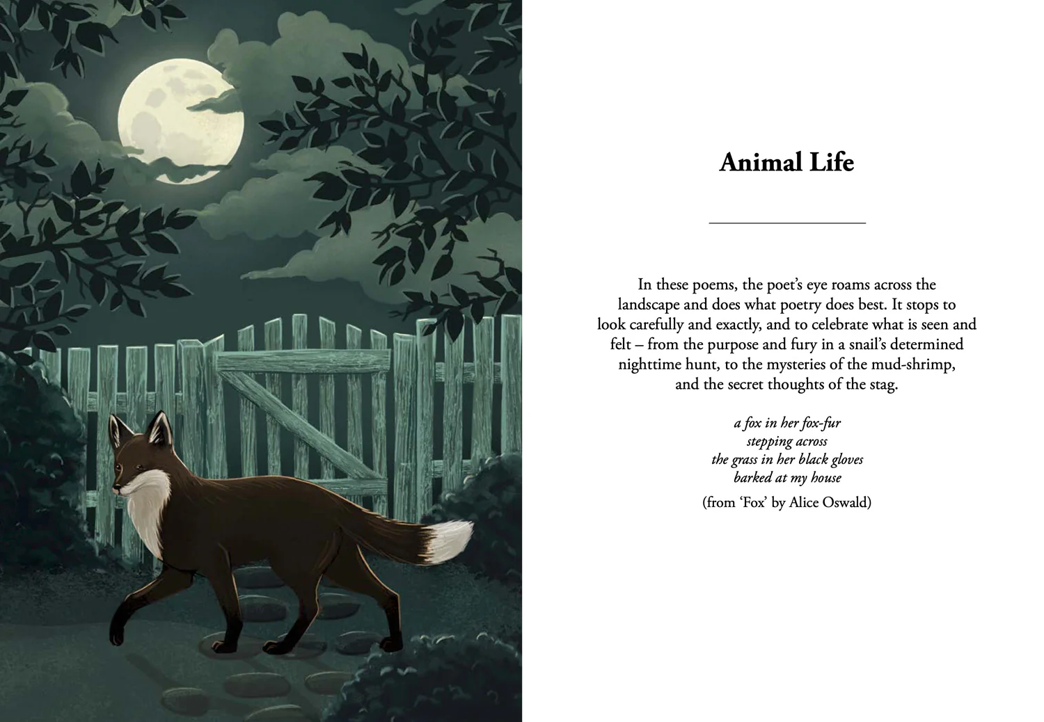 2426-national-trust-nature-poems-treasured-classics-and-new-favourites-3.webp National Trust - Nature Poems: Treasured classics and new favourites
