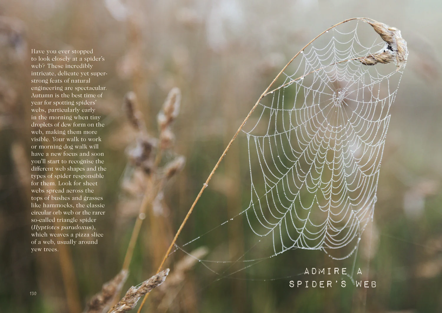 2431-a-breath-of-fresh-air-how-to-feel-good-all-year-round-4.webp A Breath of Fresh Air: How to Feel Good All Year Round