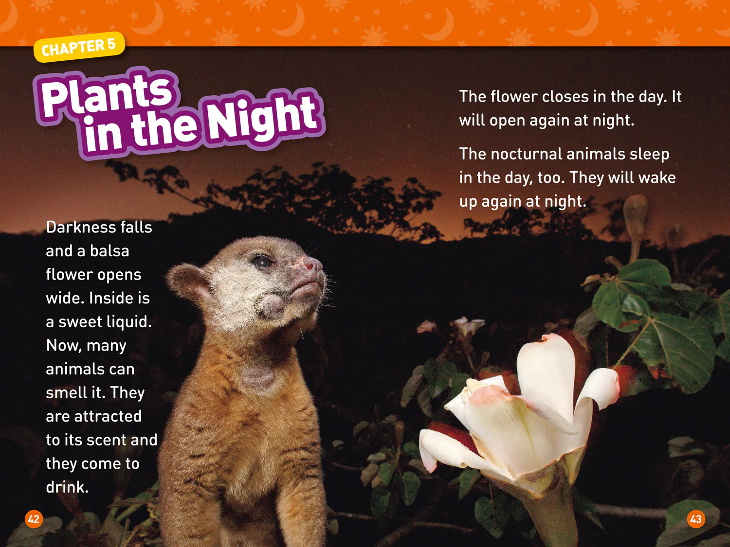 2553-national-geographic-readers-day-and-night-level-2-4.webp National Geographic Readers - Day and Night: Level 2