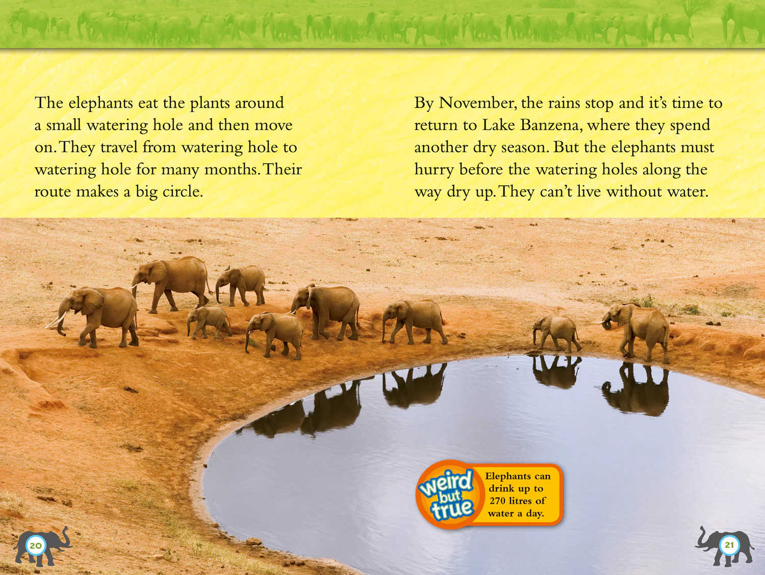 2577-national-geographic-readers-elephants-level-4-2.webp National Geographic Readers - Elephants: Level 4
