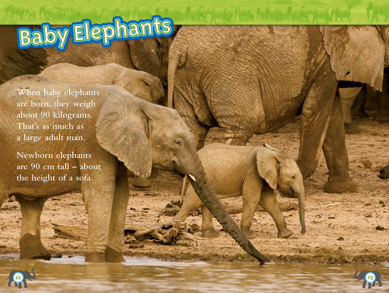 2577-national-geographic-readers-elephants-level-4-3.webp National Geographic Readers - Elephants: Level 4