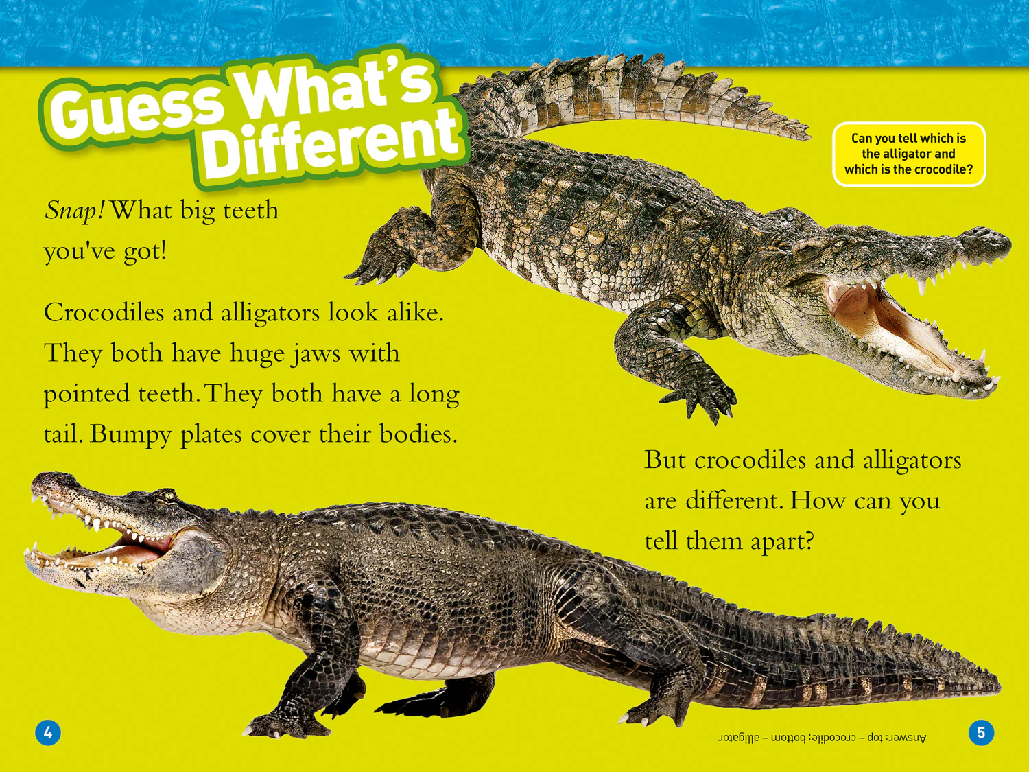 National Geographic Readers - Alligators and Crocodiles: Level 3