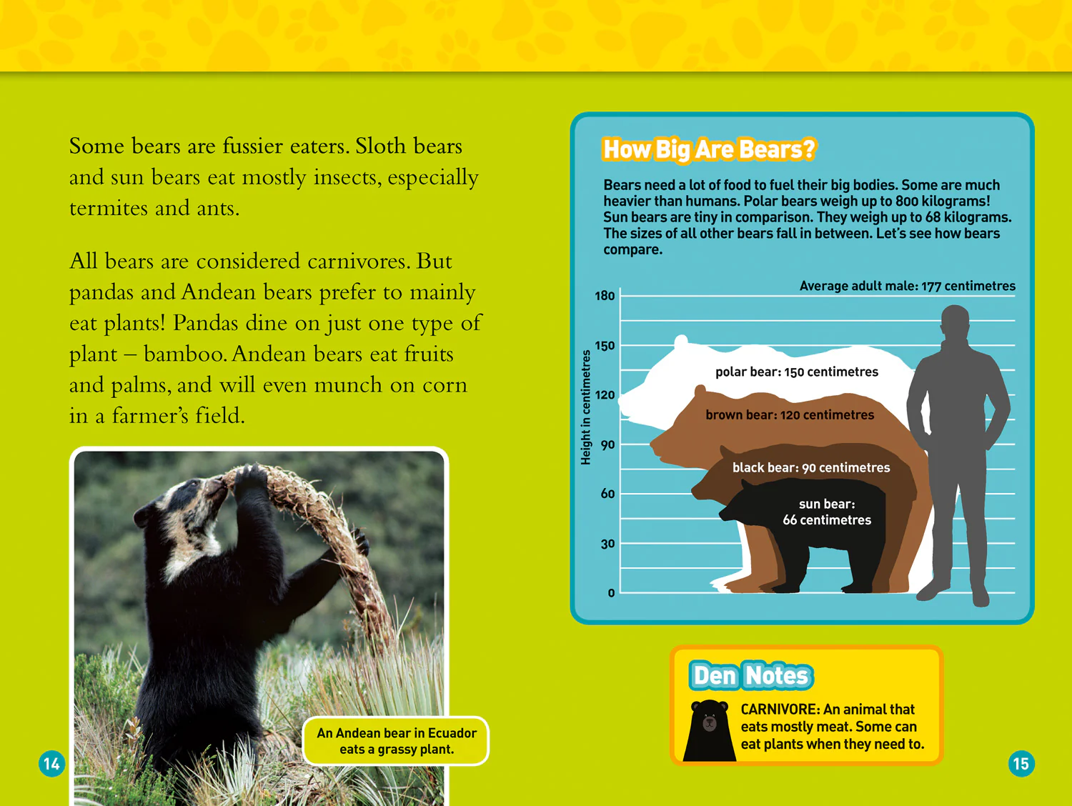 2579-national-geographic-readers-bears-level-4-3.webp National Geographic Readers - Bears: Level 4