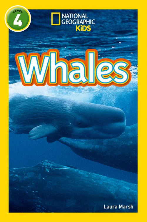 National Geographic Readers - Whales: Level 4