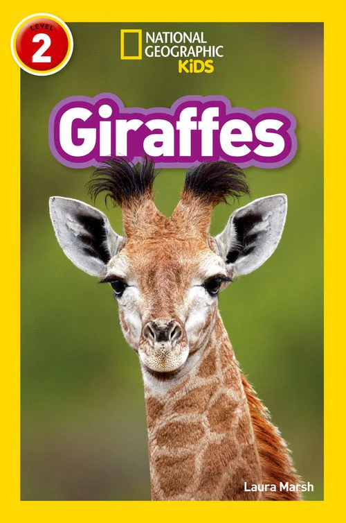 National Geographic Readers - Giraffes: Level 2