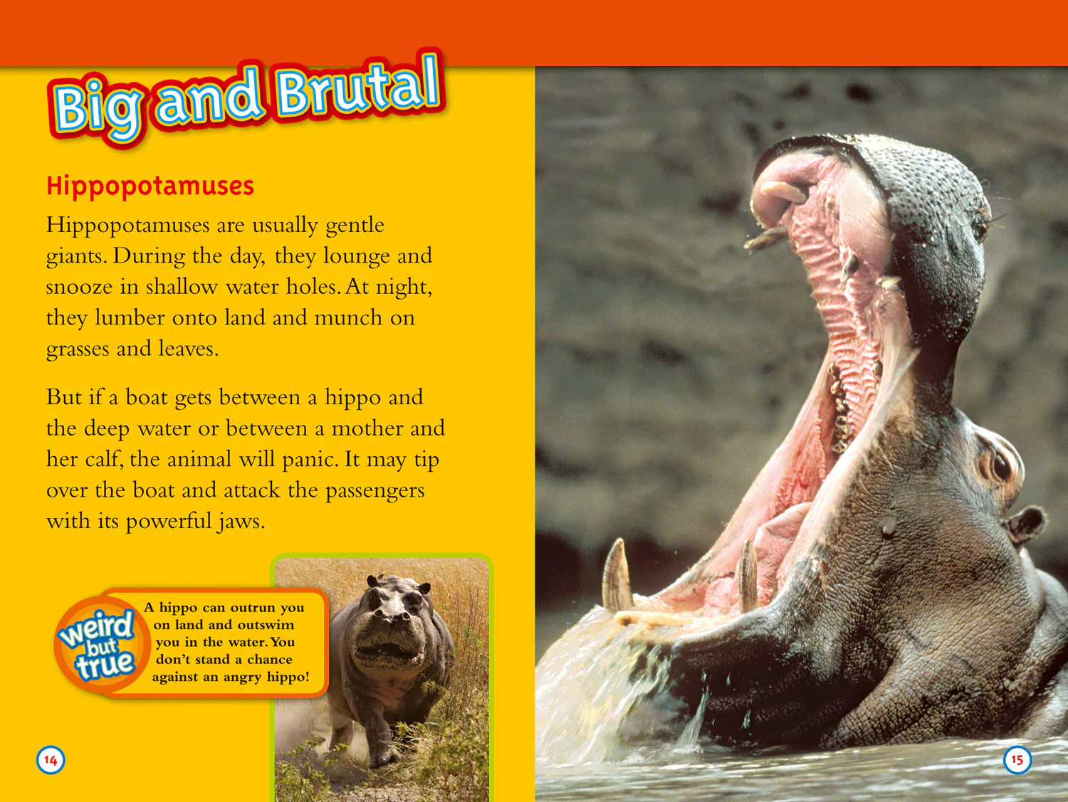 National Geographic Readers - Deadliest Animals: Level 4