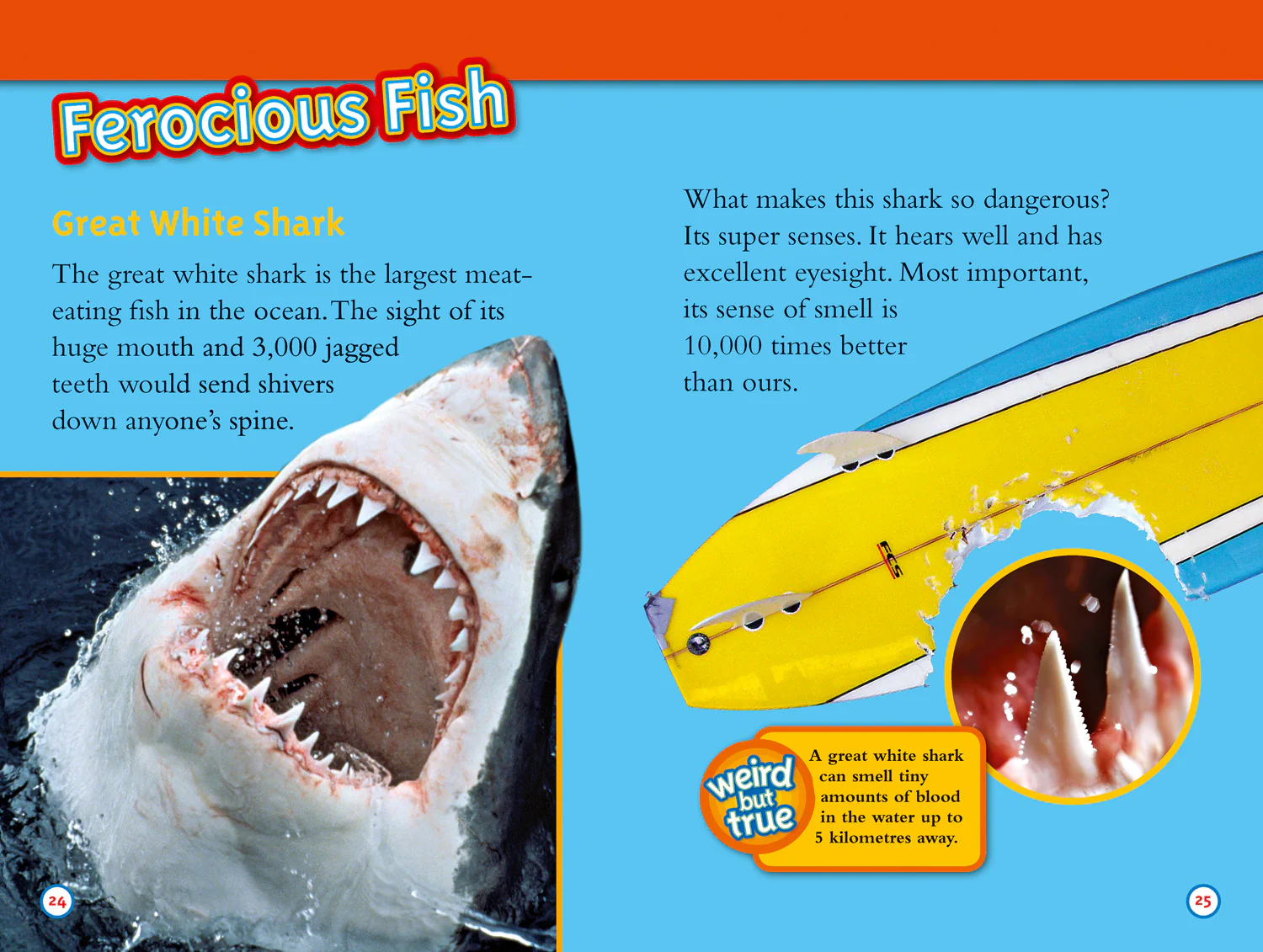 2589-national-geographic-readers-deadliest-animals-level-4-3.webp National Geographic Readers - Deadliest Animals: Level 4