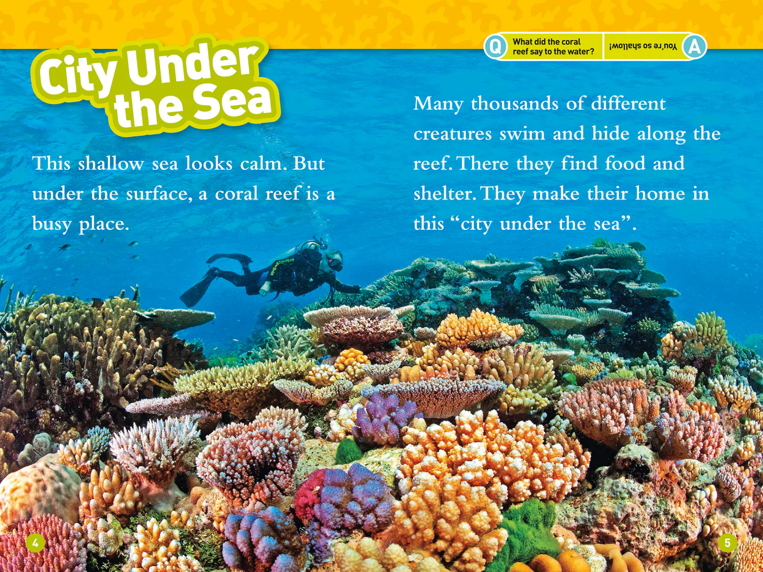2591-national-geographic-readers-coral-reefs-level-3-3.webp National Geographic Readers - Coral Reefs: Level 3