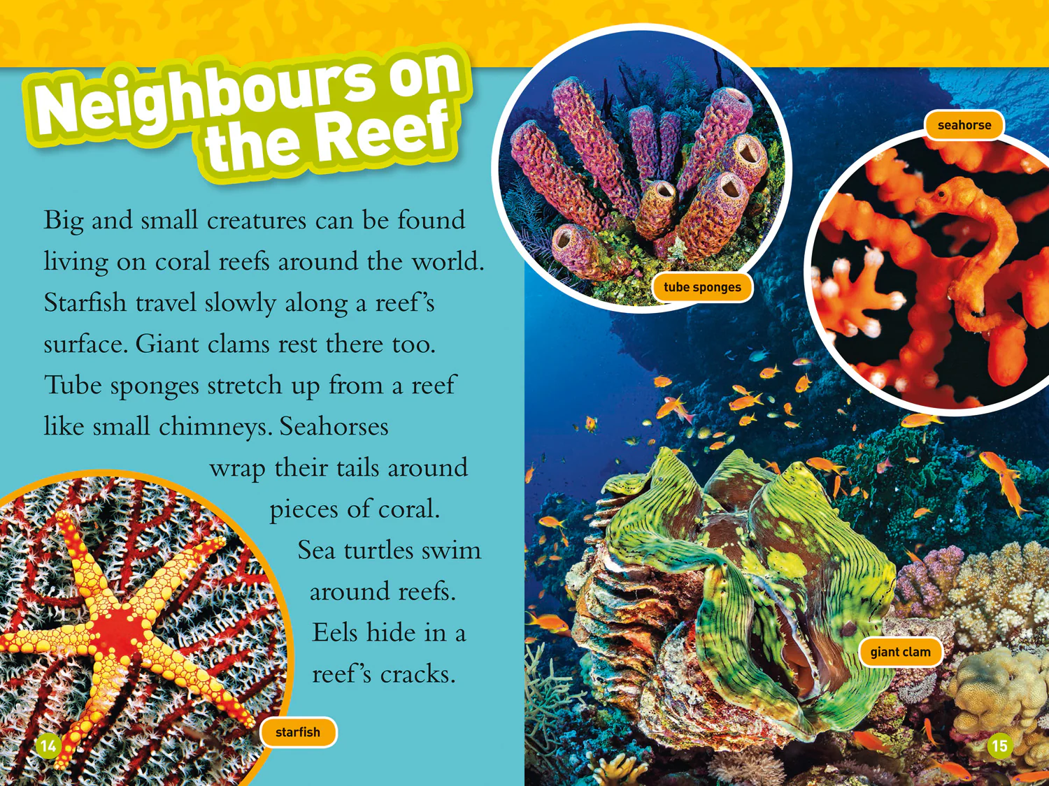 2591-national-geographic-readers-coral-reefs-level-3-4.webp National Geographic Readers - Coral Reefs: Level 3