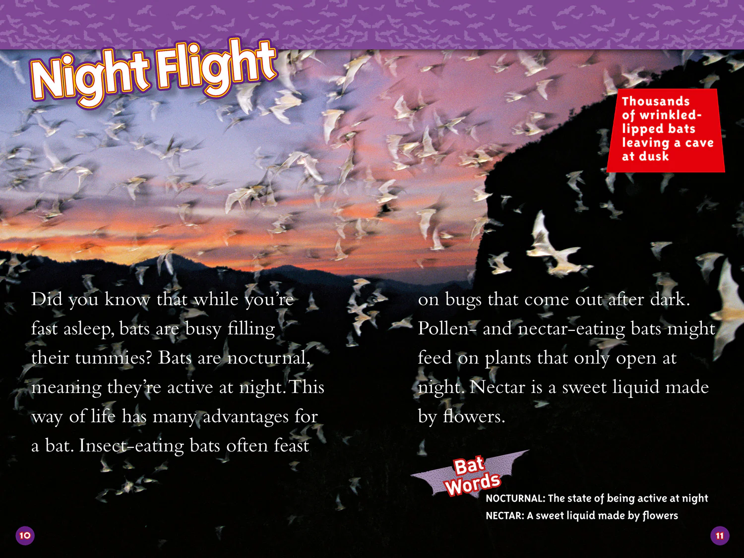 National Geographic Readers - Bats: Level 3