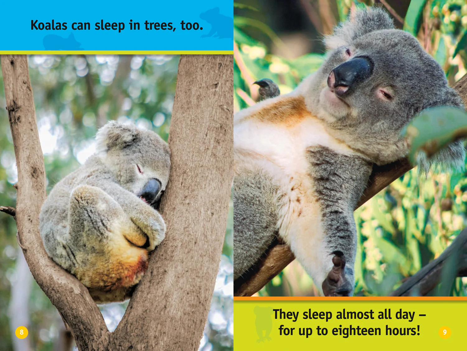 2612-national-geographic-readers-climb-koala-level-1-5.webp National Geographic Readers - Climb, Koala!: Level 1