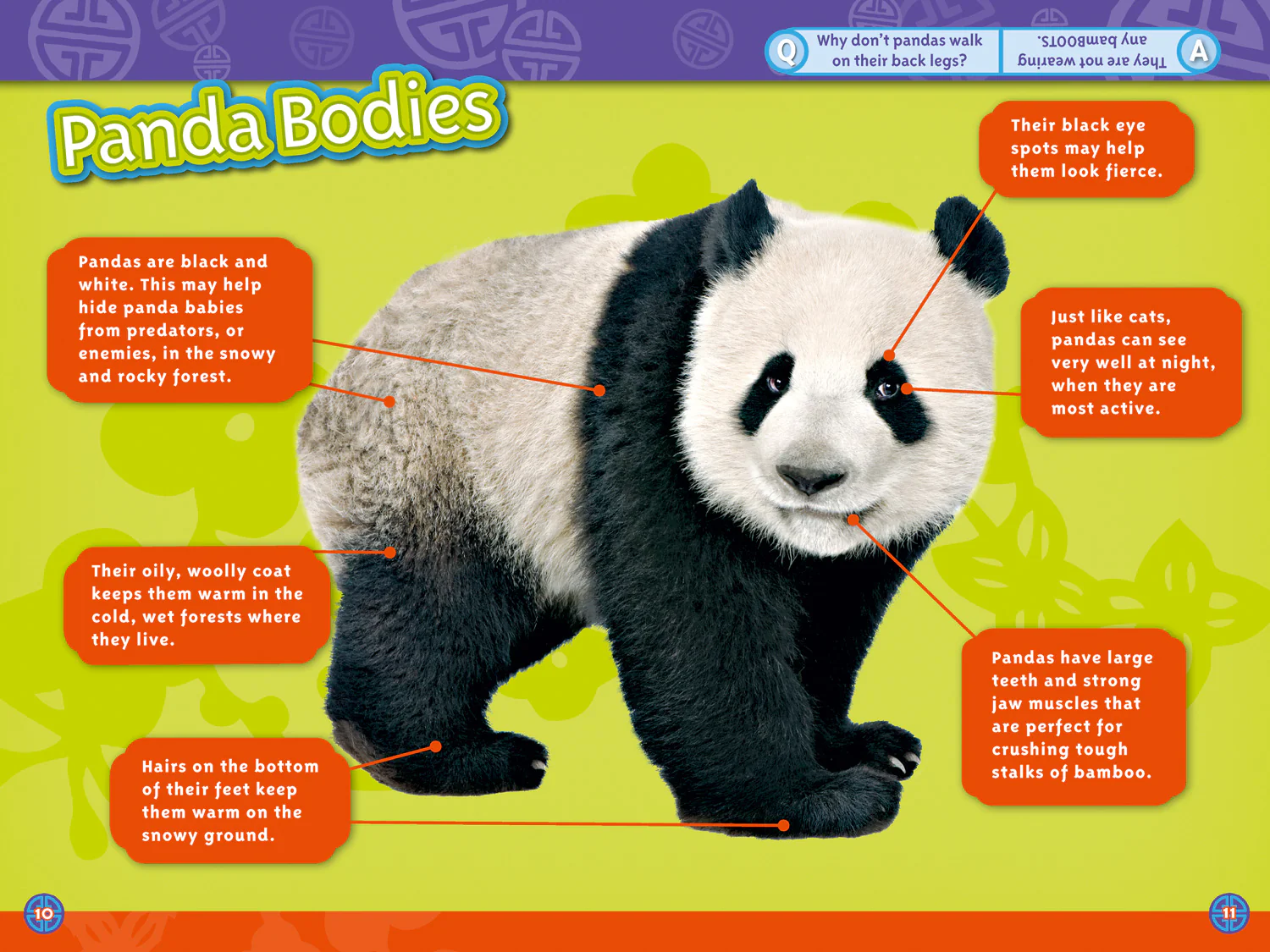2619-national-geographic-readers-pandas-level-3-2.webp National Geographic Readers - Pandas: Level 3