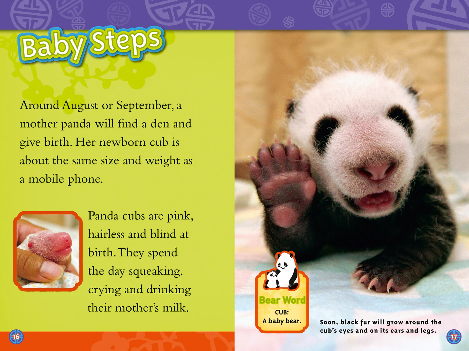 2619-national-geographic-readers-pandas-level-3-3.webp National Geographic Readers - Pandas: Level 3