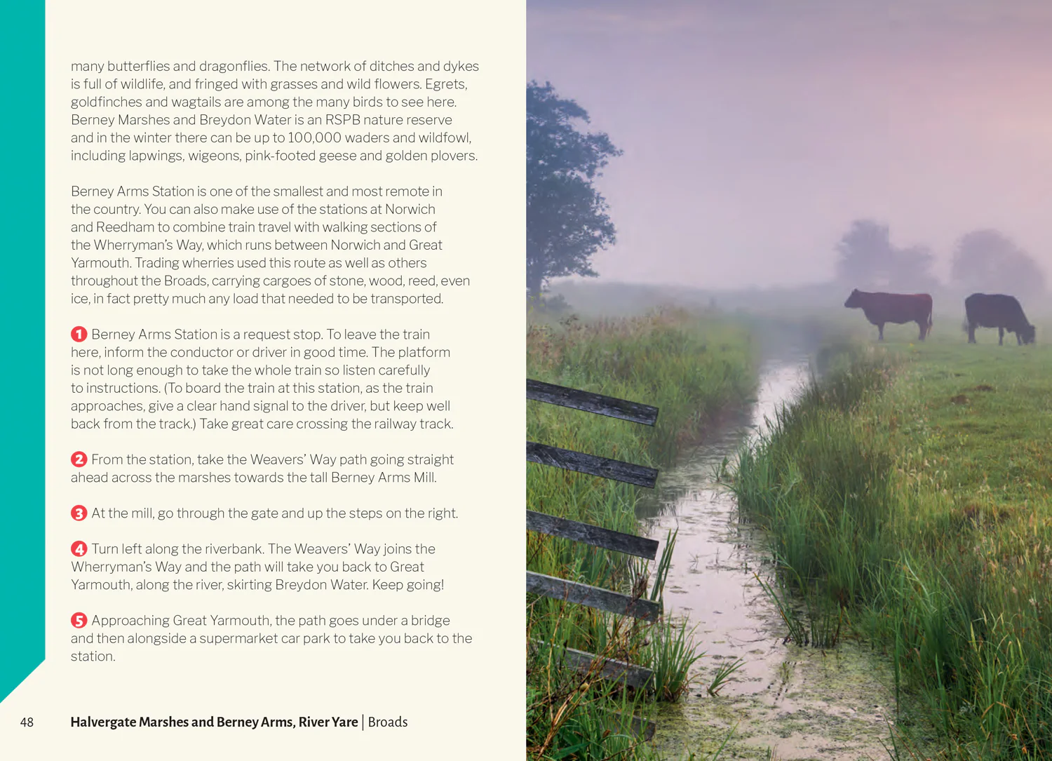 2639-broads-park-rangers-favourite-walks-20-of-the-best-routes-chosen-and-written-by-national-park-rangers-5.webp Broads Park Rangers Favourite Walks: 20 of the best routes chosen and written by National park rangers