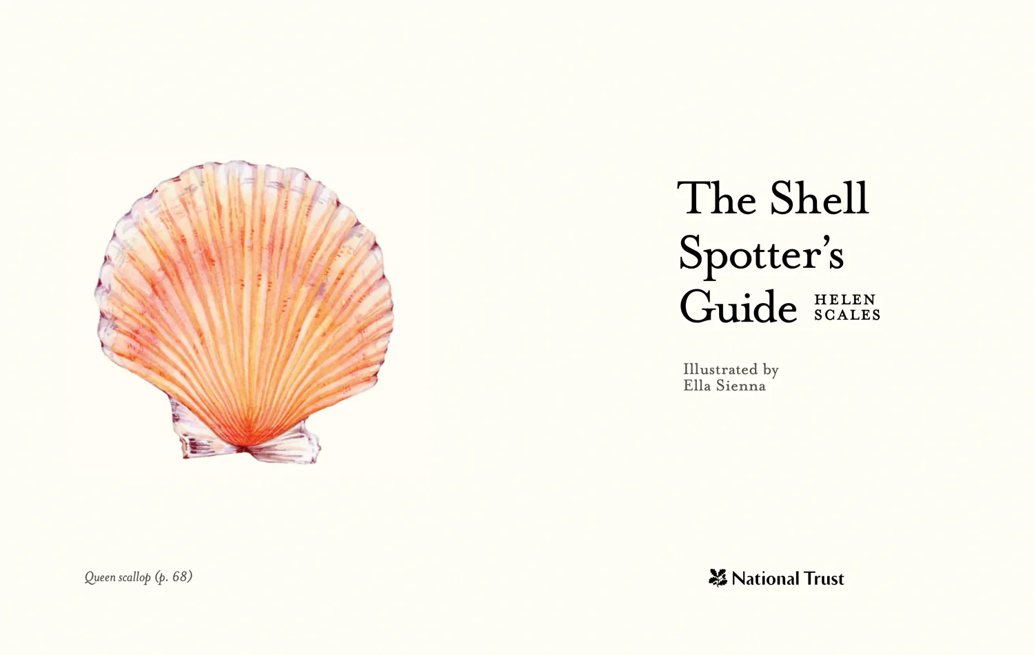 National Trust - The Shell Spotter’s Guide