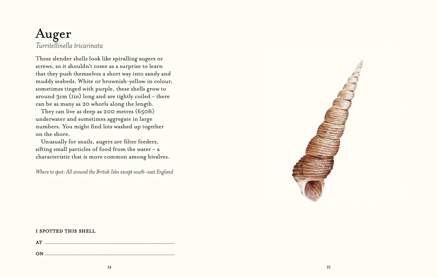 2640-national-trust-the-shell-spotter-s-guide-3.webp National Trust - The Shell Spotter’s Guide