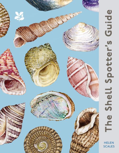2640-national-trust-the-shell-spotter-s-guide-7.jpg National Trust - The Shell Spotter’s Guide