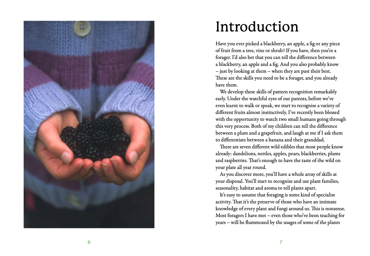 National Trust - The First-Time Forager: A Complete Beginner’s Guide to Britain’s Edible Plants