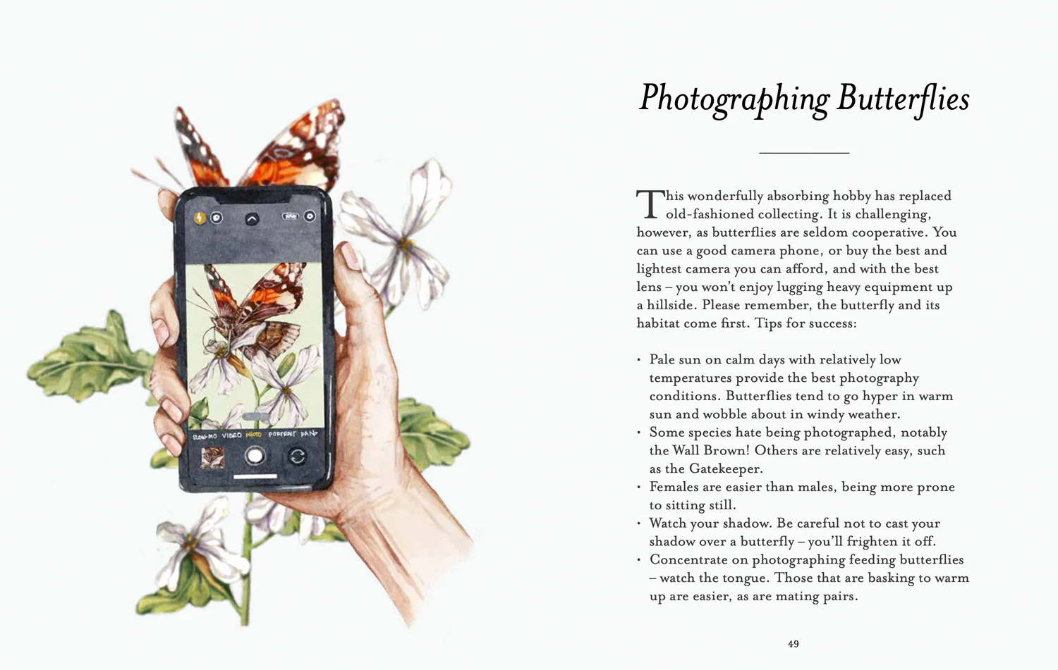 2642-national-trust-the-butterfly-spotter-s-guide-3.webp National Trust - The Butterfly Spotter’s Guide