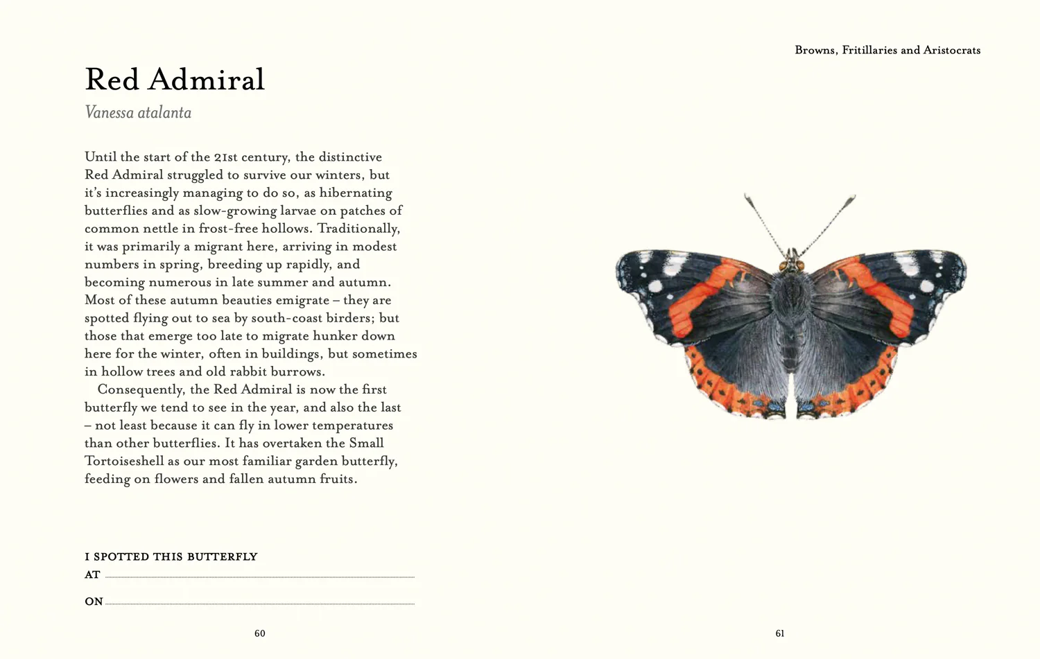 2642-national-trust-the-butterfly-spotter-s-guide-4.webp National Trust - The Butterfly Spotter’s Guide