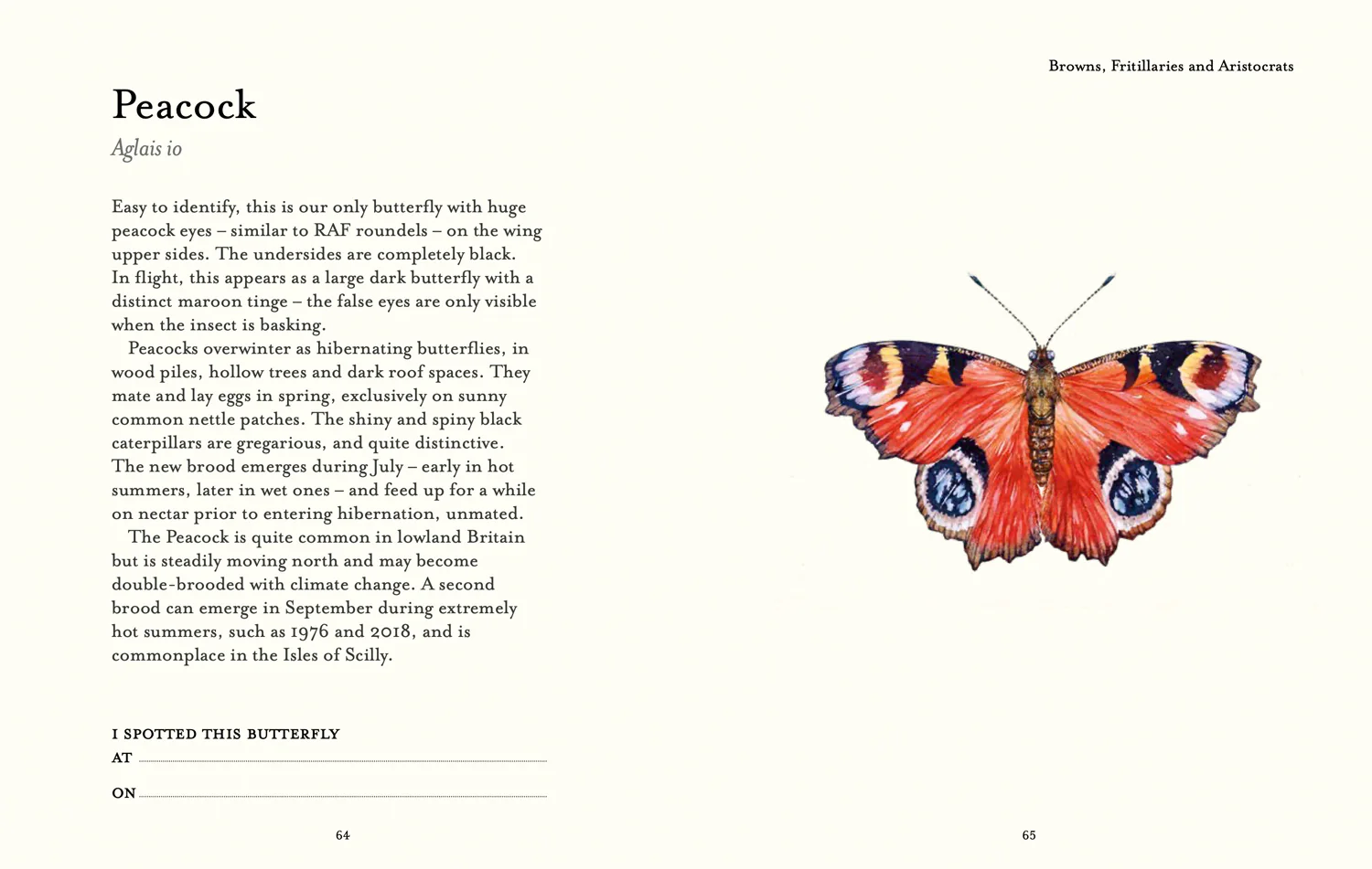 2642-national-trust-the-butterfly-spotter-s-guide-5.webp National Trust - The Butterfly Spotter’s Guide