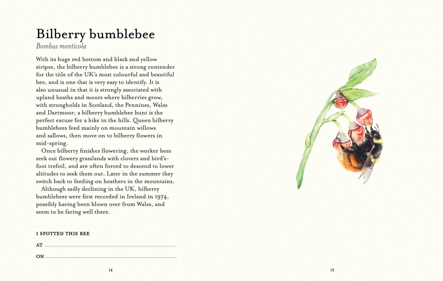 2644-national-trust-the-bee-spotter-s-guide-2.webp National Trust - The Bee Spotter’s Guide