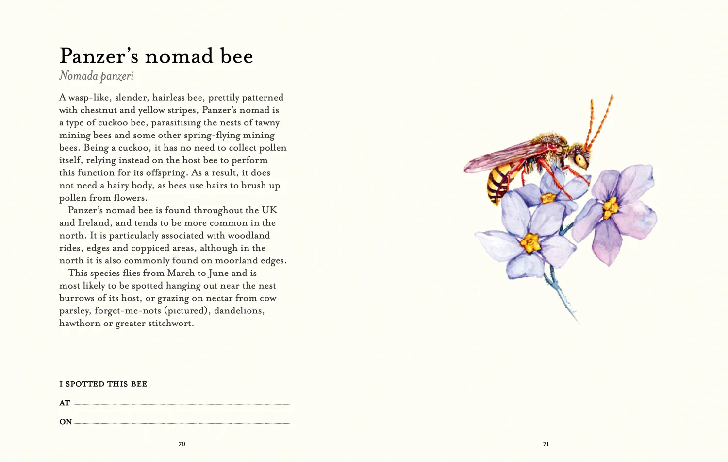 2644-national-trust-the-bee-spotter-s-guide-6.webp National Trust - The Bee Spotter’s Guide