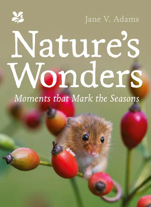 National Trust - Nature’s Wonders: Moments that mark the seasons