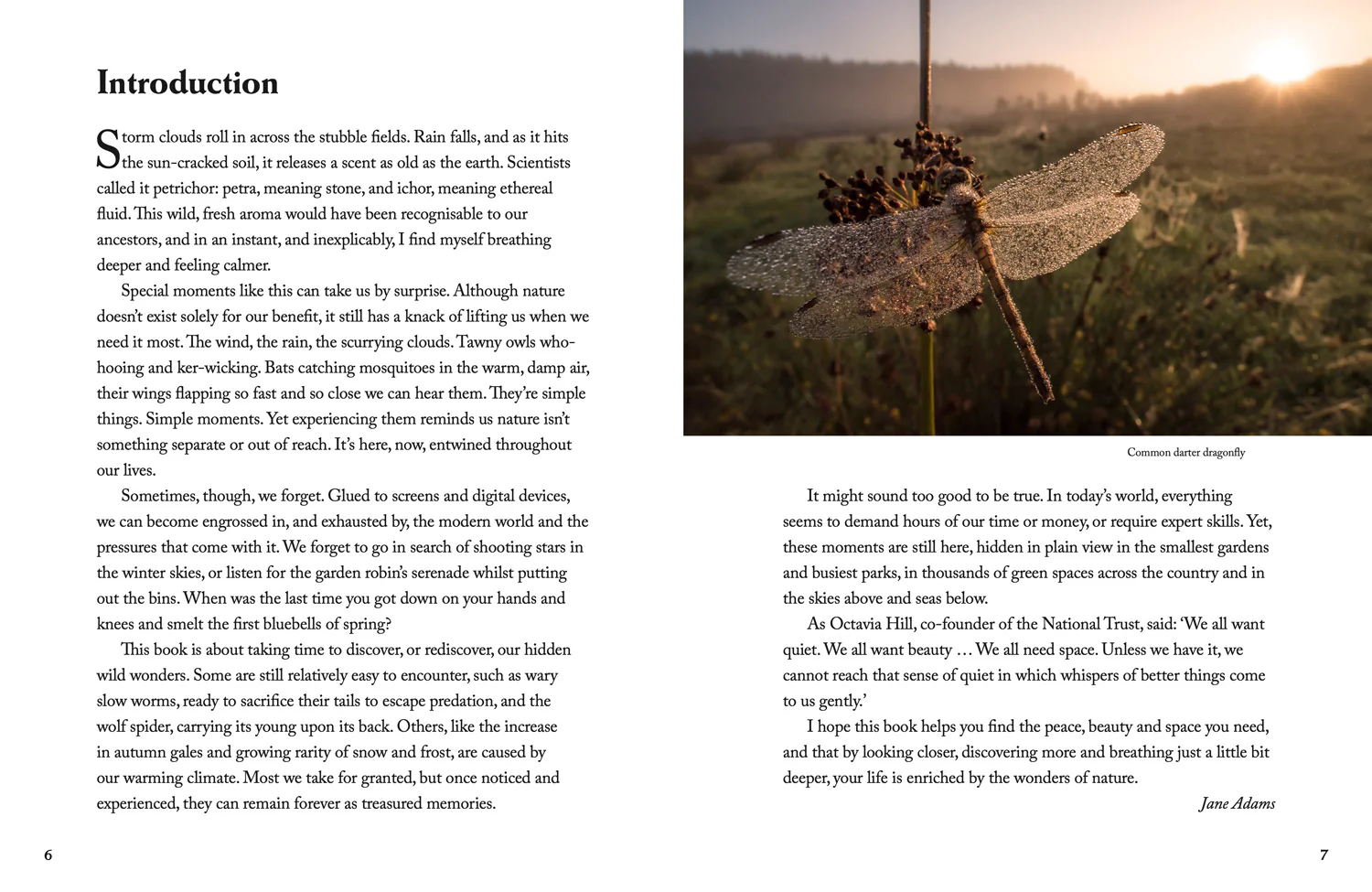 National Trust - Nature’s Wonders: Moments that mark the seasons