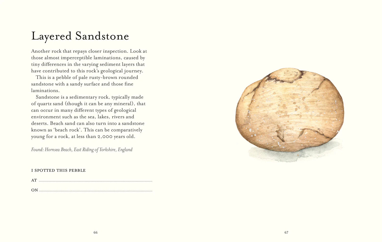2647-the-pebble-spotter-s-guide-4.webp The Pebble Spotter's Guide