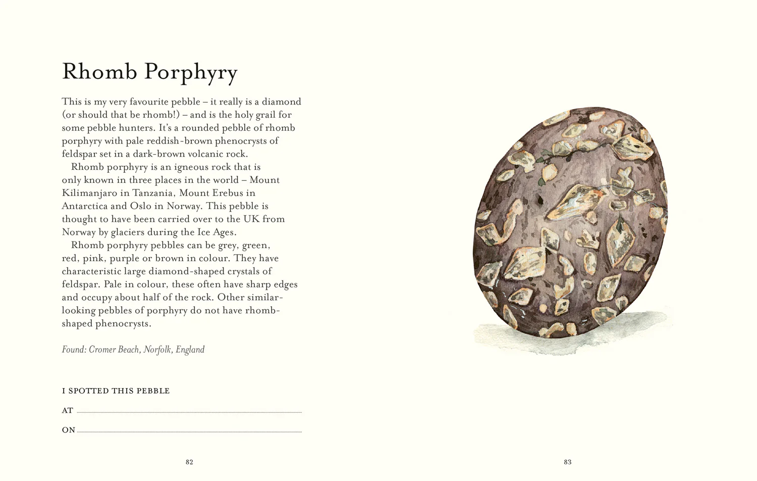 2647-the-pebble-spotter-s-guide-5.webp The Pebble Spotter's Guide