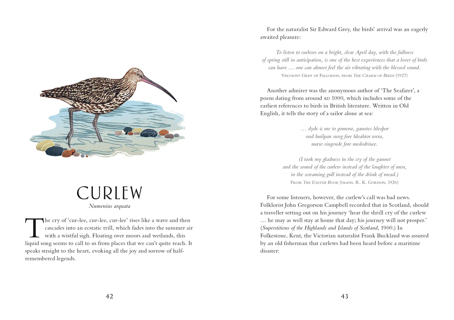 Britain's Birds: A Treasury of Fact, Fiction and Folklore