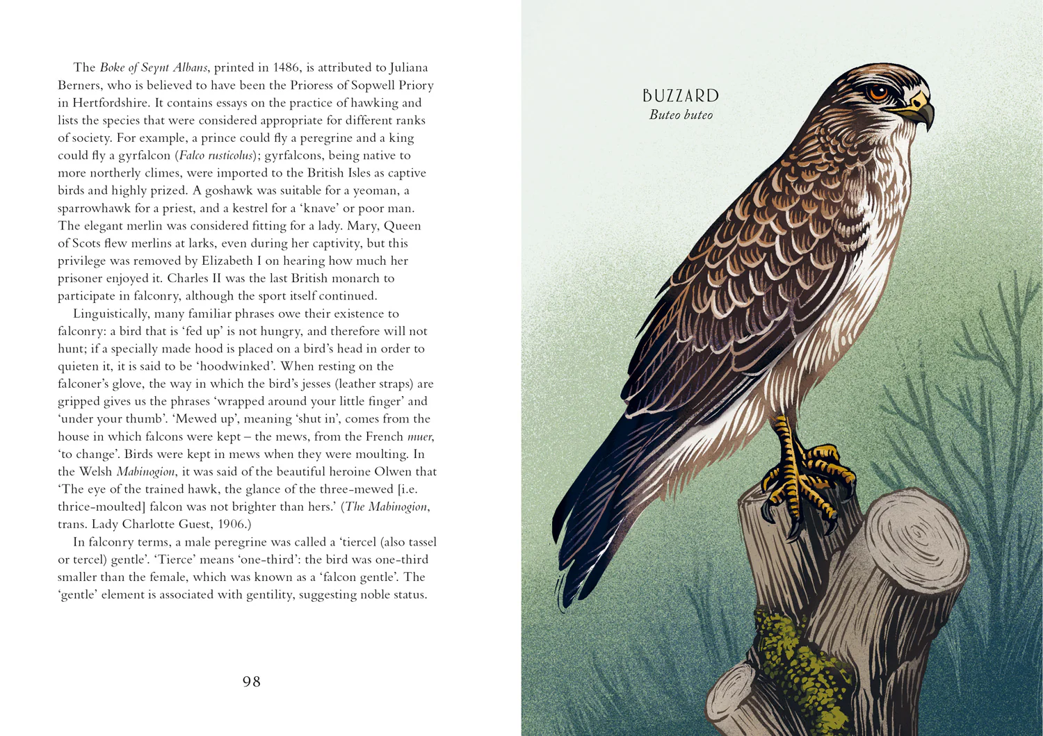 2649-britain-s-birds-a-treasury-of-fact-fiction-and-folklore-3.webp Britain's Birds: A Treasury of Fact, Fiction and Folklore
