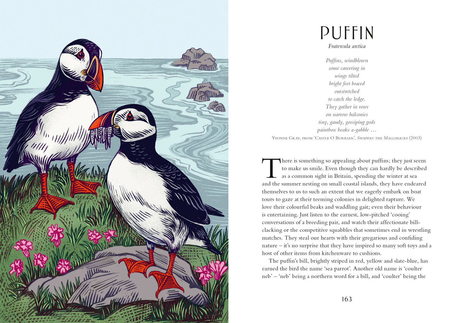 2649-britain-s-birds-a-treasury-of-fact-fiction-and-folklore-4.webp Britain's Birds: A Treasury of Fact, Fiction and Folklore