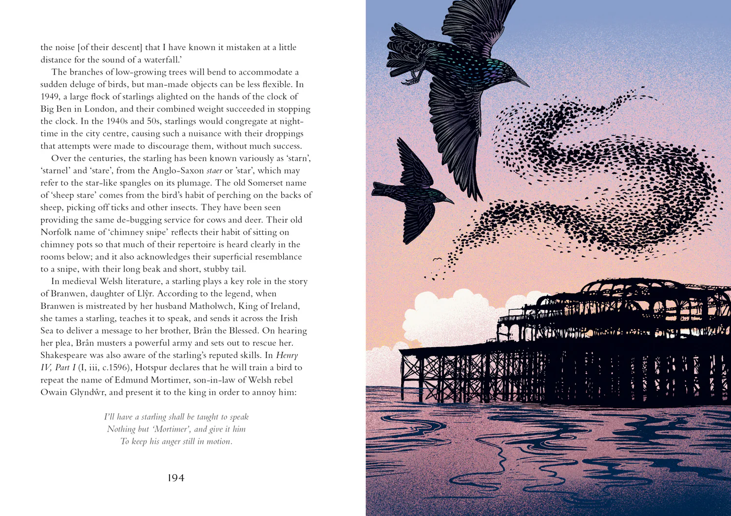 2649-britain-s-birds-a-treasury-of-fact-fiction-and-folklore-5.webp Britain's Birds: A Treasury of Fact, Fiction and Folklore