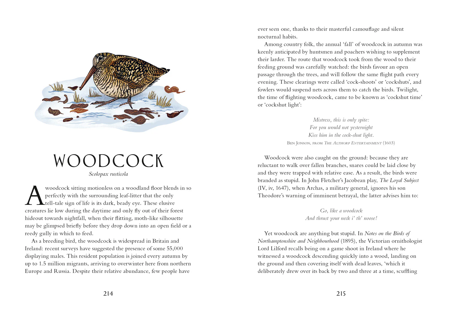 2649-britain-s-birds-a-treasury-of-fact-fiction-and-folklore-6.webp Britain's Birds: A Treasury of Fact, Fiction and Folklore