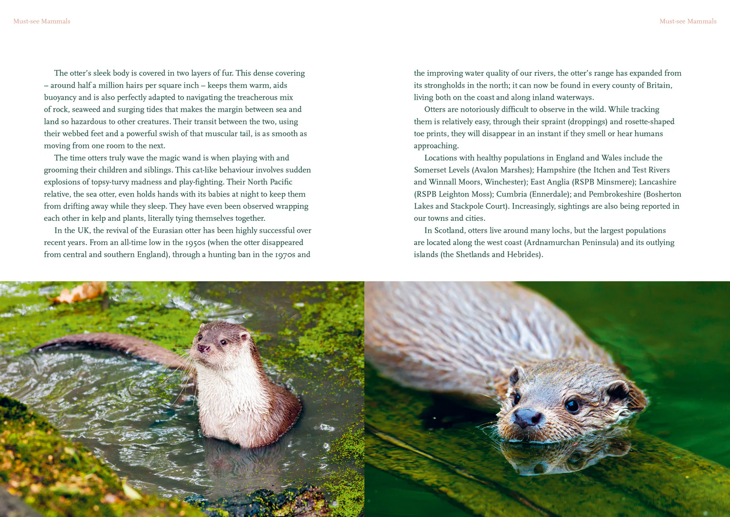 The Nature Lover's Bucket List: Britain's Unmissable Wildlife