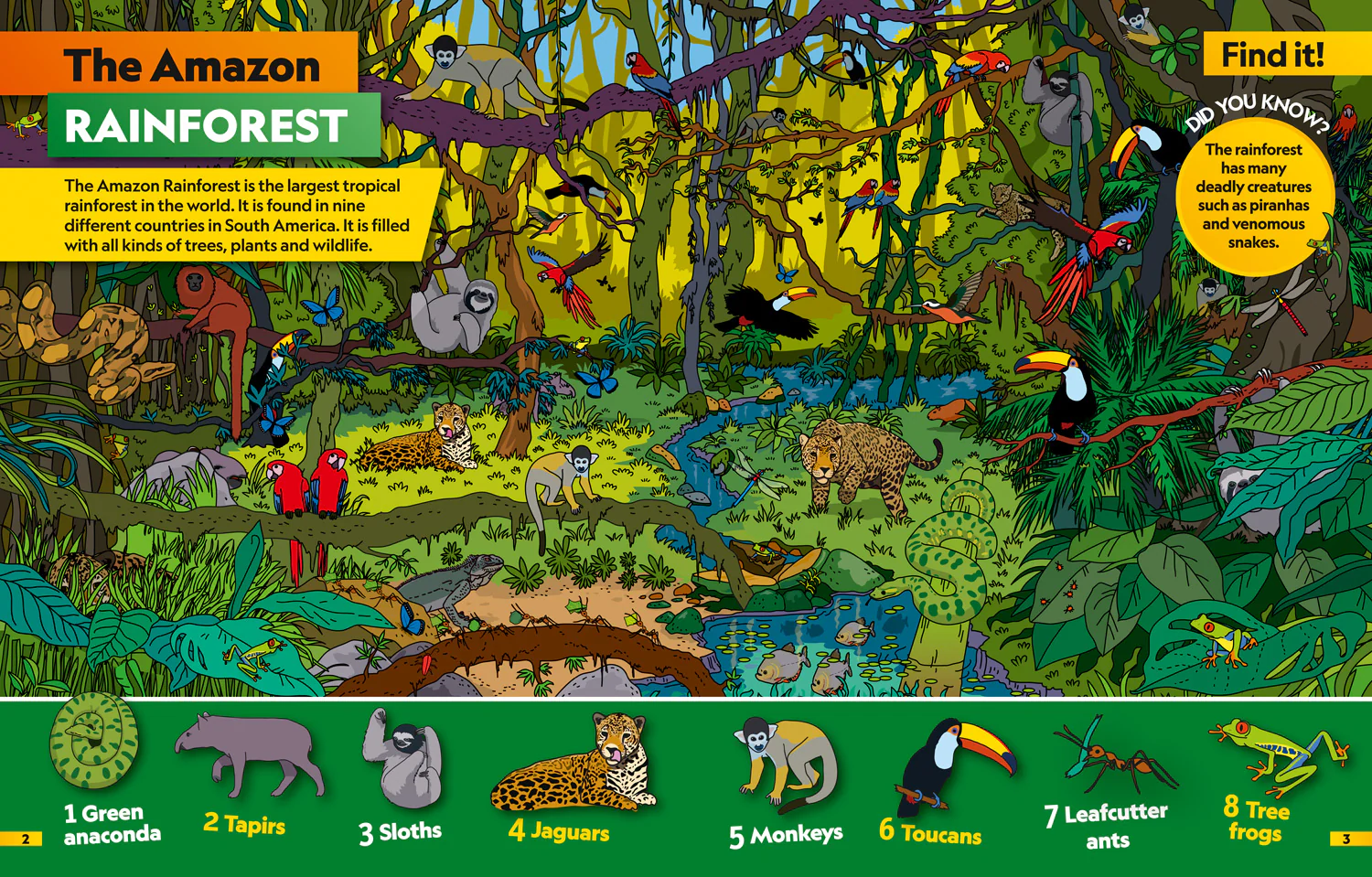 National Geographic Kids - Animals Find it! Explore it!: More than 250 things to find, facts and photos!