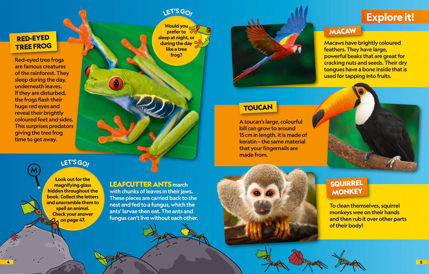 2658-national-geographic-kids-animals-find-it-explore-it-more-than-250-things-to-find-facts-and-photos--3.webp National Geographic Kids - Animals Find it! Explore it!: More than 250 things to find, facts and photos!